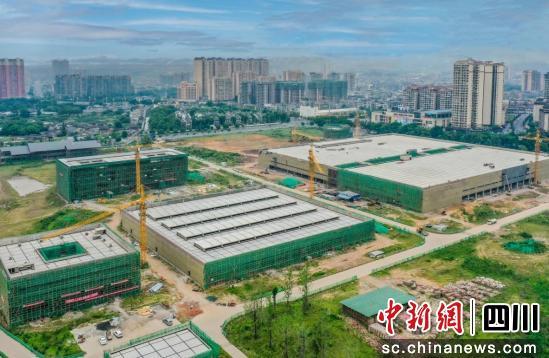 建行樂(lè)山分行助力川茶 點(diǎn)綠成金 茶葉